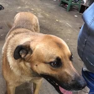 Meet your Posher, Timothy